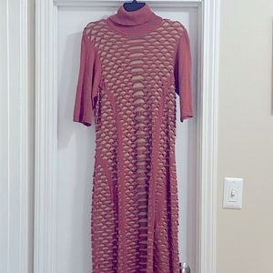 Distressed Fitted Dress